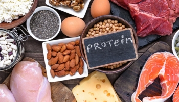 Proteine: ein unverzichtbarer Verbündeter 